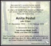 eine Anzeige