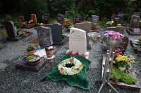 ein Bild aus dem Album